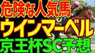 【京王杯SC予想】ウインマーベルは危険な人気馬の理由…頑張り屋だけどキレが…レッドモンレーヴのキレはものすごいぞ！っていう2024年京王杯スプリングカップ予想動画【私の競馬論】【競馬ゆっくり】