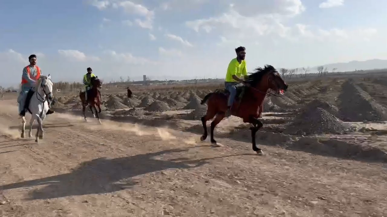 مسابقات یورغه، ولایت هرات 2026