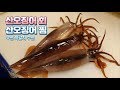 [4K]산오징어 회와 내장 꽉찬 산오징어 찜_Make a live squid sashimi & Squid steamed_Korean street food