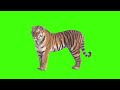 كروما نمر للتصميم و المونتاج بدون حقوق 