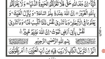Surah As-Sajdah | سورة السجدة | Tilawat | With Arabic Text | Chapter no-32 | Mohammad Marif Jamal |
