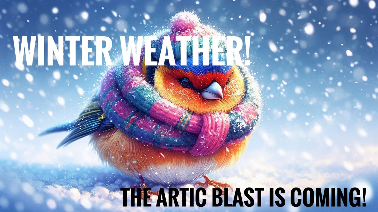 Winter Weather Update! The Arctic Blast is Coming! - YouTube