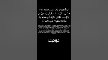 كروما# لا يسأم الانسان من دعاء الخير #الشيخ ماهر المعيقلي #سورة فصلت #القران  كريم#راحة_نفسية