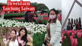 Taichung flower farm/Tourist spot in Taiwan