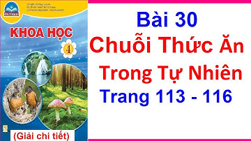 Khoa Học Lớp 4 Bài 30 | Chuỗi Thức Ăn Trong Tự Nhiên | Trang 113 - 116 | Chân Trời Sáng Tạo