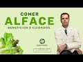 COMER ALFACE! Benefícios e Cuidados.