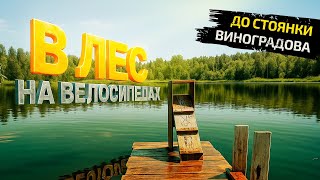 видео: Через  картинка: Через