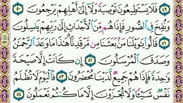   سورة     يس   .    .     صفحة   ٤٤٣   .   .       من الأية( ٤٩) إلى الأية( ٥٤ )