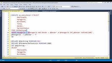 Microsoft SQL Server Development Part 11 : Dynamic SQL 6 in SQL Server