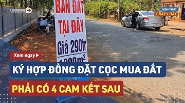 4 Cam Kết Phải Có Khi Ký Hợp Đồng Đặt Cọc Mua Đất | LuatVietnam