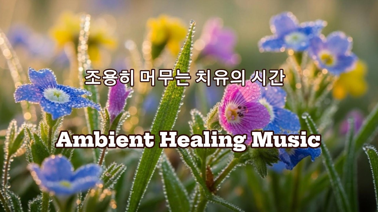 조용히 머무는 치유의 시간..은빛선율. [Silverharmonia]