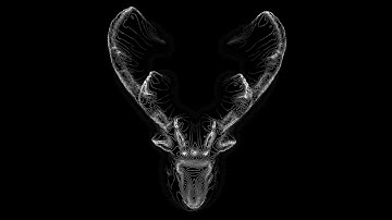 HABITAT – Experimental Motion Design by Oskar Rene Fülöp