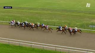 Vidéo de la course PMU PRIX DES GRANDES ECURIES