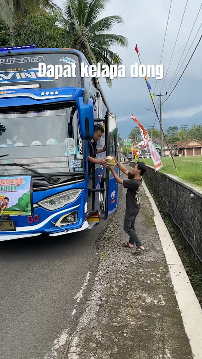 Telolet Basuri Dapet Kelapa 🤩 #busmania #basuri