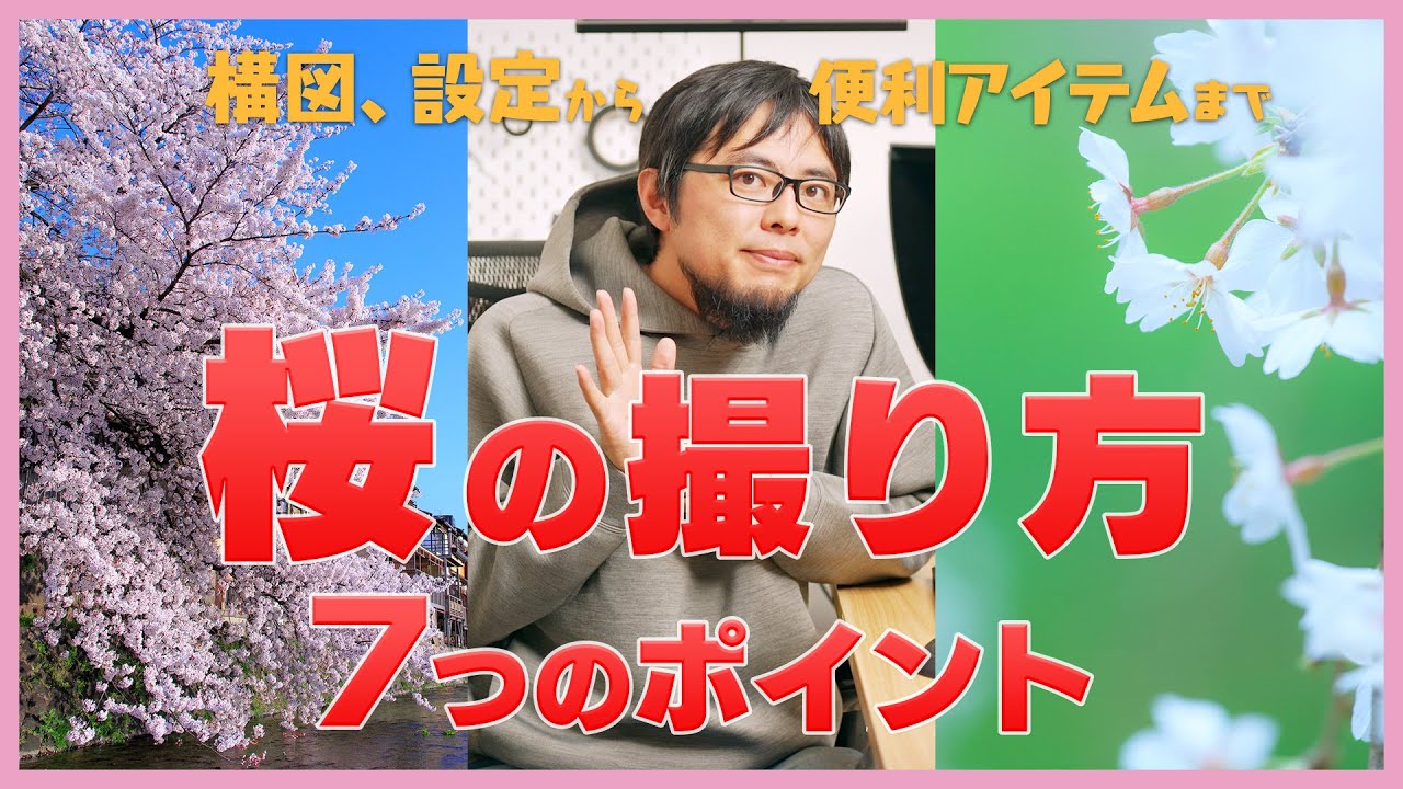 【桜撮影】今年の桜写真はワンランクアップ間違いなし？7つのヒントをまとめました！