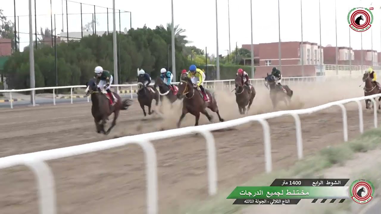 الاجتماع ( 25 الختام ) الشوط ( 4 ) الجواد الهرم / أسطبل / الشوري