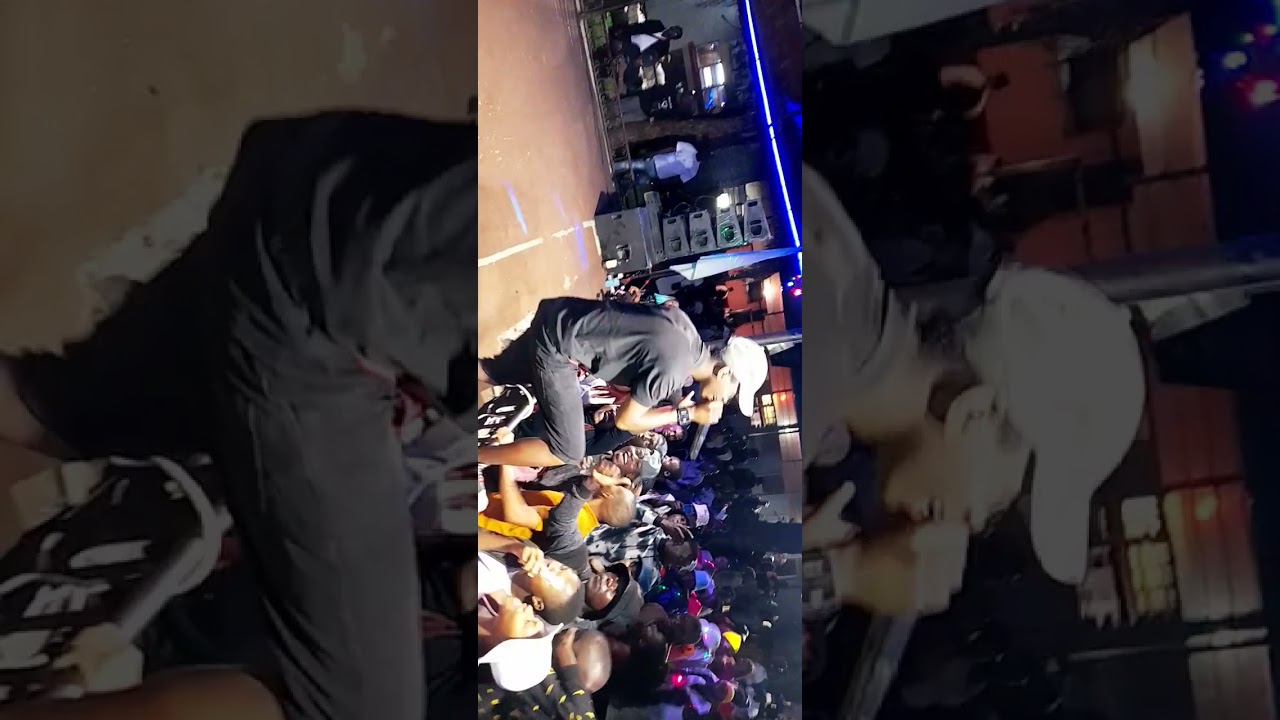 DeeVox Live Perfomance