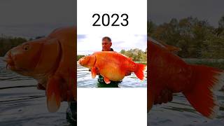 2023 Golden Fish and 5000  😱||mythical Biology|#shortsvideo screenshot 5