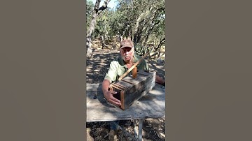 Simple Box Trap for Rabbits an Ground Squirrels. #Shorts. #Bushcraft. #Survival.