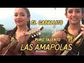 El Caballito 🐎 por el Trío Huasteco Las Amapolas en Tepetzintla 🎶💃🕺