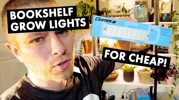 Illuminating my grow shelf with cheap Amazon grow lights 💡 and of course happy plants.
