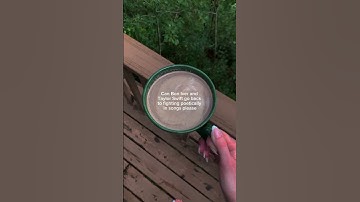 Thumbnail of This song scratches my brain SO GOOD 👌🏻 . . . . . . #taylorswift #boniver #folklore #evermore