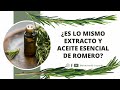 Propiedades Fitocosmeticas del Romero