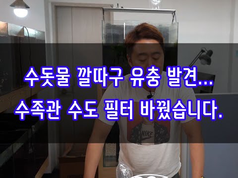 수돗물에서 깔따구 유충 발견?? 수족관 수도 필터 교체하였습니다.