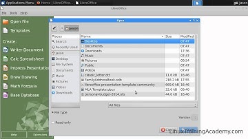An Alternative to Microsoft Word on Linux -- Libre Office Writer.