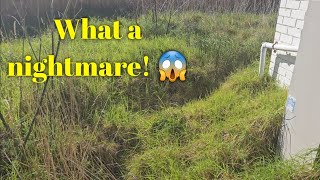 The most OVERGROWN backyard I've EVER done - 5 videos in 1!