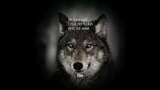 My spirit animal for life #wolf #fypシ゚viral #wolves #trending #shorts #bringheeseungback