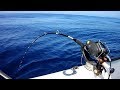 Take a private boat and do deep sea fishing