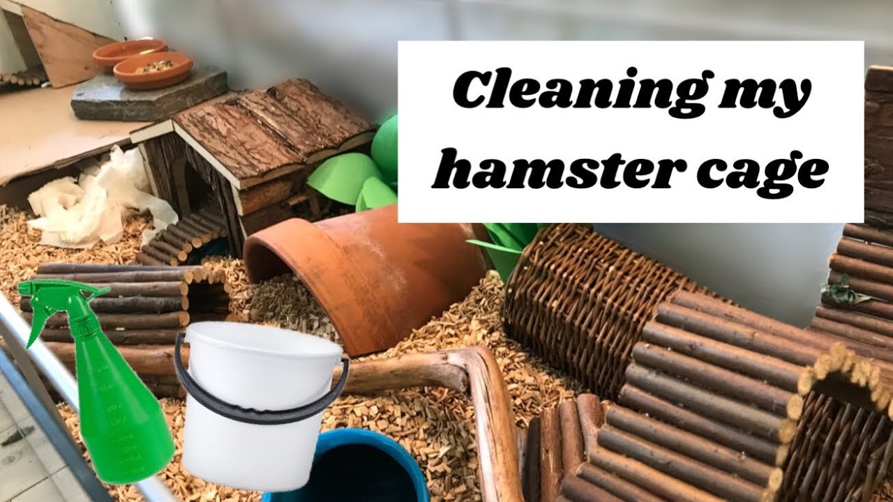 cleaning my hamster cage | IKEA Detolf