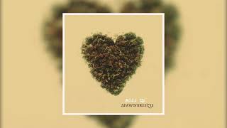 Spawnbreezie - Roll Up (Official Audio)