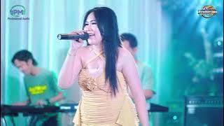 AINI ZAMMA - IKHLAS || NEW ASTINA LIVE DOLOPO MADIUN - PM AUDIO