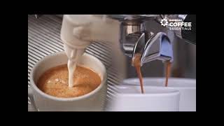 Ottima Tall  2 group head Espresso Machine