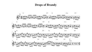 Drops of Brandy (slip jig) on tenor banjo for the Rochester CCE Learners Session