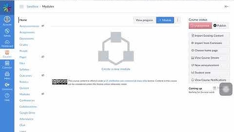 CANVAS: Marking submissions in Speed Grader