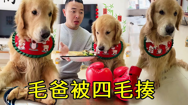 毛爸吃外賣竟只給四毛吃地瓜，不料竟還偷拿四毛私房錢，下一秒被一拳揍暈【起錯名的四毛】