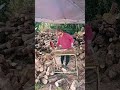 Chainsaw Still firewood process