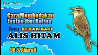 Cara membedakan burung kerak basi jantan dan betina. 90% Akurat!