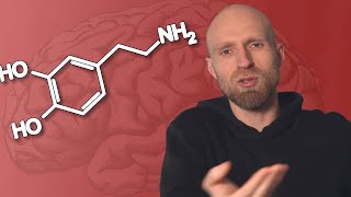 The Dopamine Detox Does Not Work?