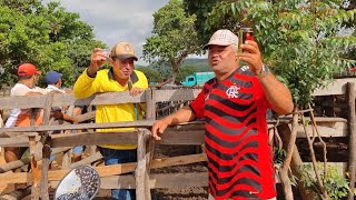 Feira do Gado de Rompe Gibão aos domingos, Tonho da banha e Galego e serrote e suas Resenha.