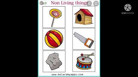 EVS Lesson ೩ Judgement Of Owl