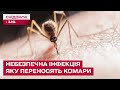 Вакцини не існує! Україною шириться небезпечна африканська інфекція!