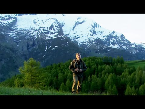 Exploring France's Beautiful Alpine Region | Ray Mears Wild France Compilation