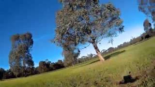 Testing the Firefly 6S