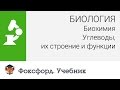 Биология. Биохимия: Углеводы, их строение и функции. Центр онлайн-обучения «Фоксфорд»