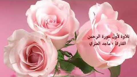 تلاوة من سورة الرحمن القارئ ماجد العنزي