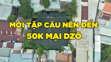 Mới Tập Câu Cá Nên Đi Câu Hồ Nào Và Giá Rẻ | Hồ Câu Cá Giải Trí Yến Nhi | Chung Nguyễn Fishing